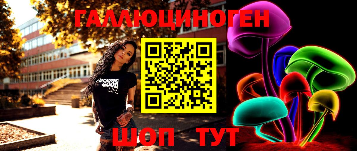 Галлюциногенные грибы MAGIC MUSHROOMS  Псилоцибиновые грибы GOLDEN TEACHER  Новотроицк  Вход с VPN 