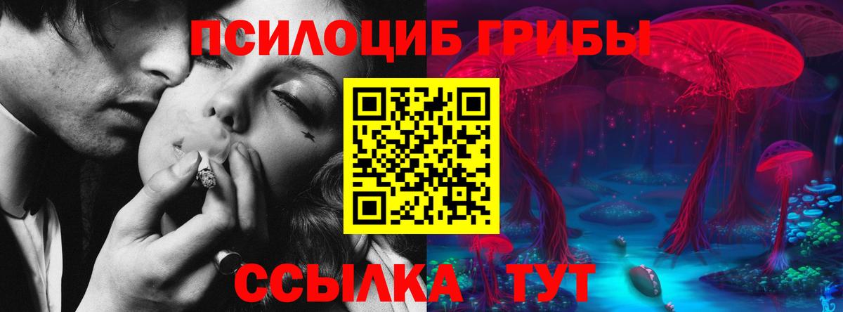Псилоцибиновые грибы GOLDEN TEACHER Новотроицк